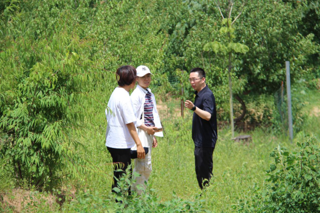 微信圖片_20210601155857.png 微信圖片_20210601155857.png